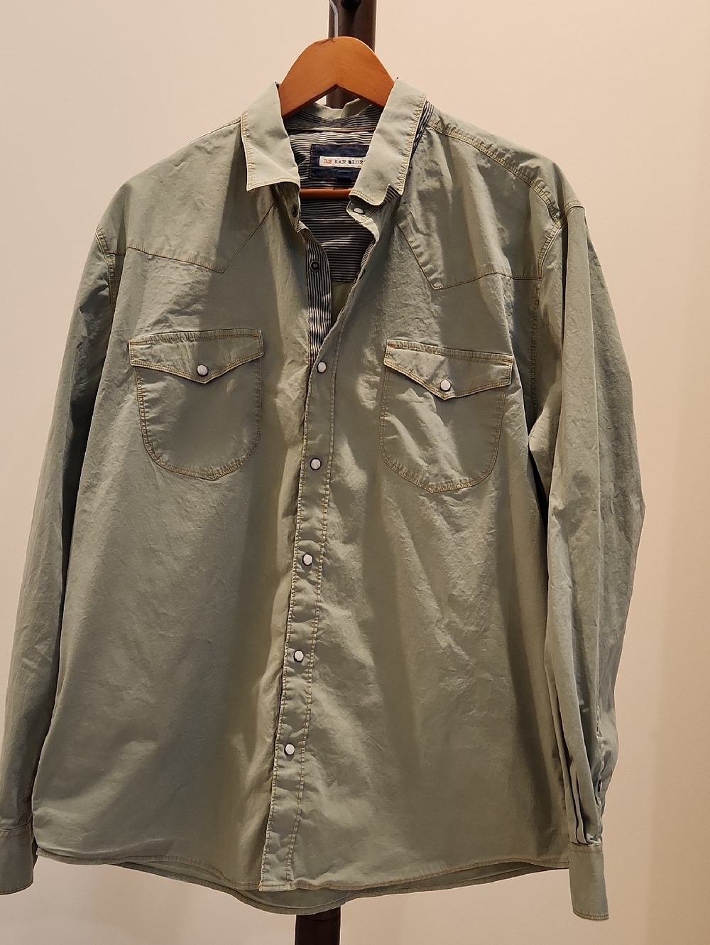 NWOT Snap Front Shirt in Olive Sage